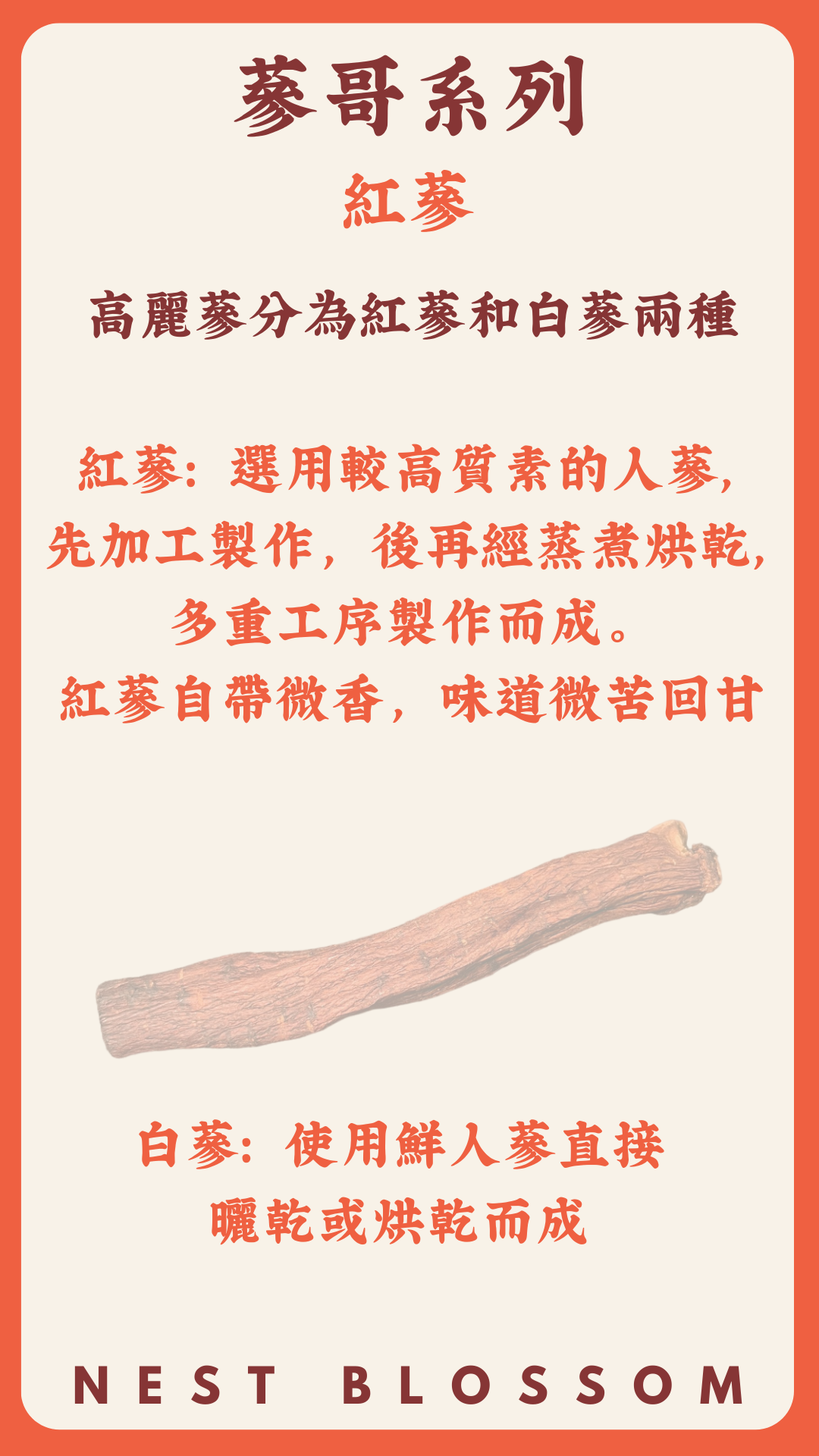 6年生長白山紅蔘粉