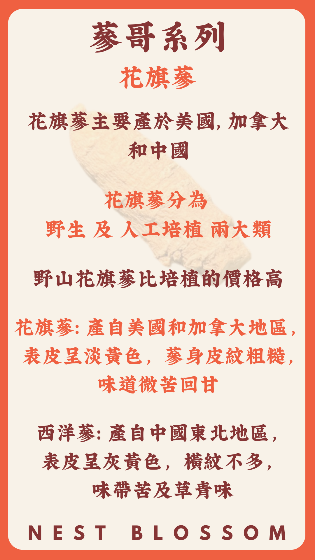 野生美國花旗蔘粉